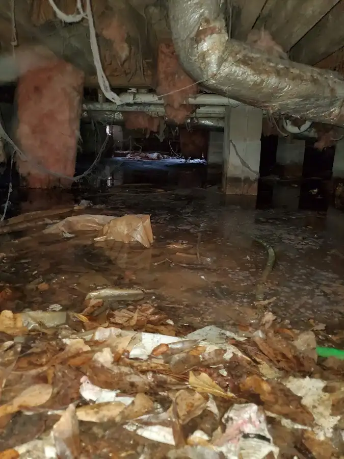 Crawl space flood assessment for Leak Detection & Repair in Spring Grove